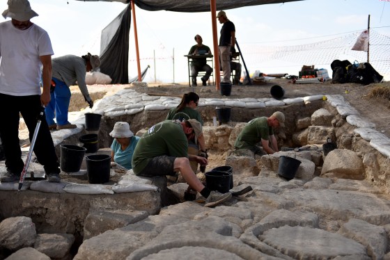 Image: American Veterans Archaeological Recovery program