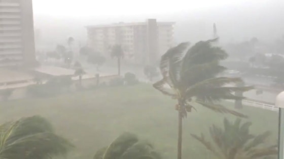 Image: Trees sway as Storm Gordon descends on Fort Lauderdale, Florida, U.S.