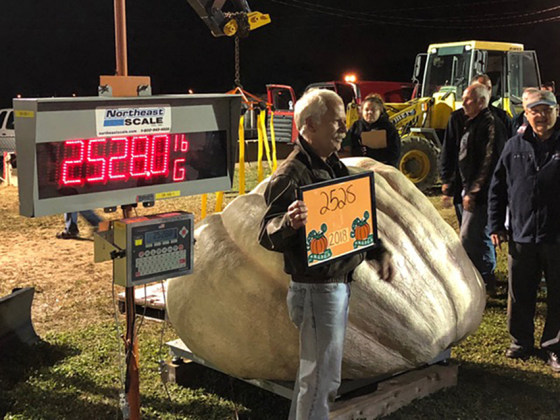 The winner was a pumpkin weighing a U.S. record 2,528 pounds, grown by Steve Geddes, of Boscawen, New Hampshire.