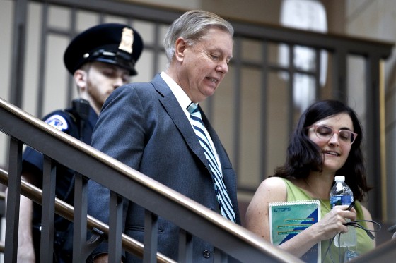 Image: Members of the Senate review the FBI report on Supreme Court nominee Judge Brett Kavanaugh