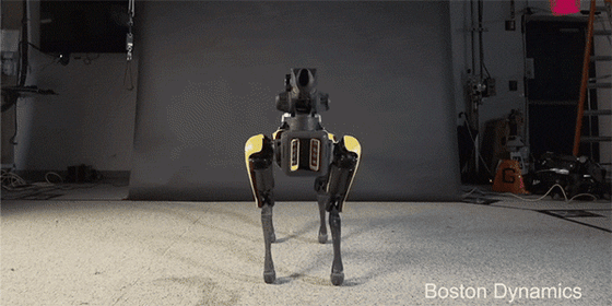 SpotMini Robot