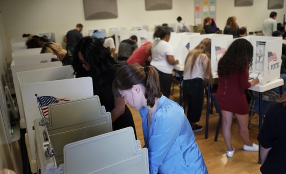 Image: Early midterm elections voting in California