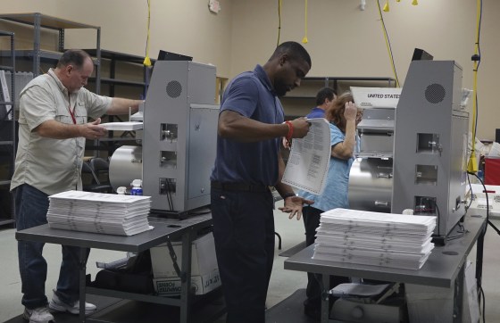 Image: Florida recount