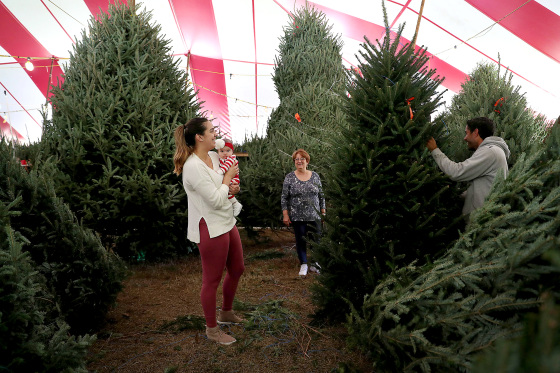 best christmas tree sales