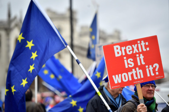 Image: A pro-E.U. demonstrator near the Houses of Parliament in London