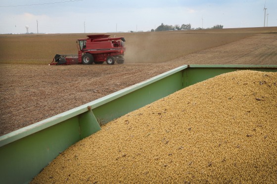 Image: Greg Porth harvests soybeans near Worthington, Minnesota, in 2013.