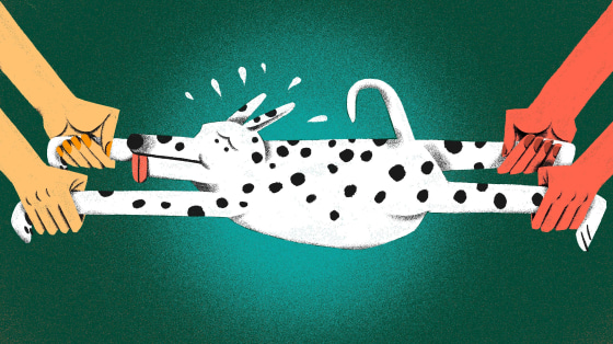 Illustration of two sets of hands pulling at their pet dog.