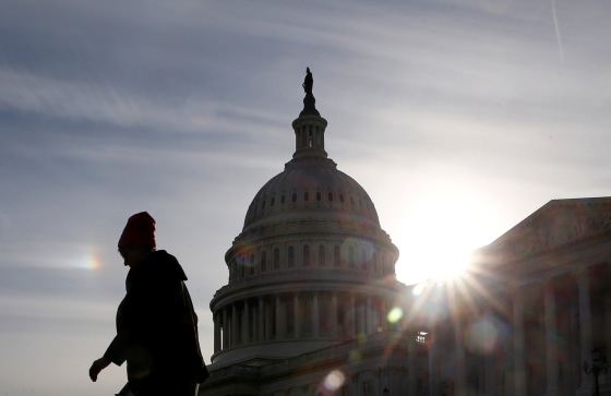 Image: A visitor walks by the U.S. Capitol on day 32 of a partial government shutdown in Washington