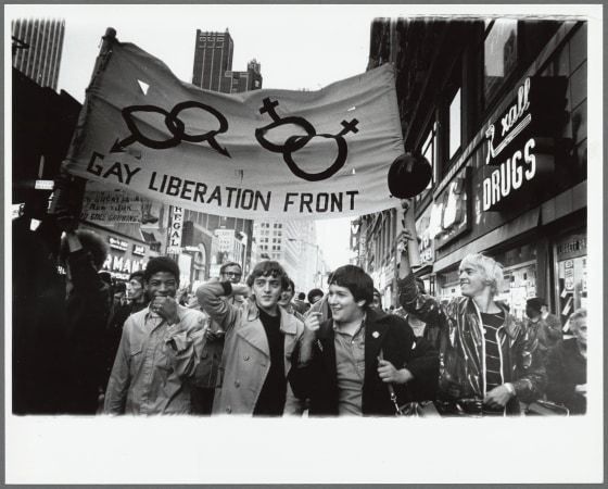 Image: \"Demonstration at City Hall, New York,\" 1973.