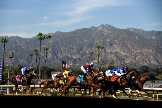 Image: Horses race at the Breeders' Cup World Championships at Santa Anita Park in Arcadia, California, on Nov. 4, 2016.