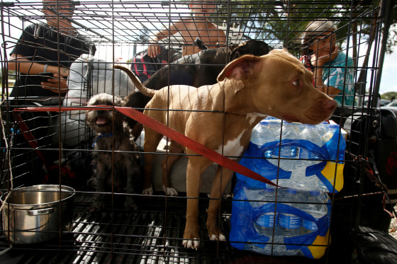 Image: Massive Hurricane Irma Bears Down On Florida