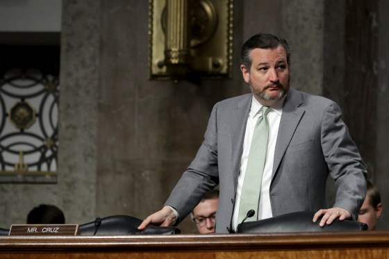 Image: Sen. Ted Cruz, R-Texas, during a hearing at the Dirksen Senate Office Building on Capitol Hill on March 13, 2019.