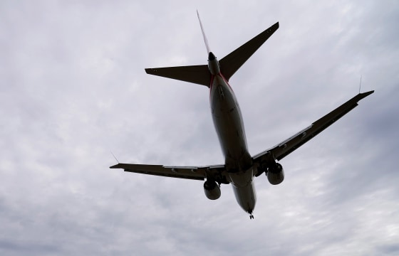 Image: An American Airlines Boeing 737 MAX 8 flight approaches to land at Reagan National Airport in Washington