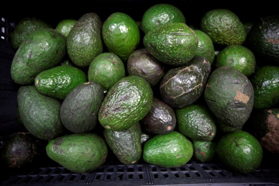 Image: Avocados are on display for sale at the wholesale market \"Central de Abastos\" in Mexico City