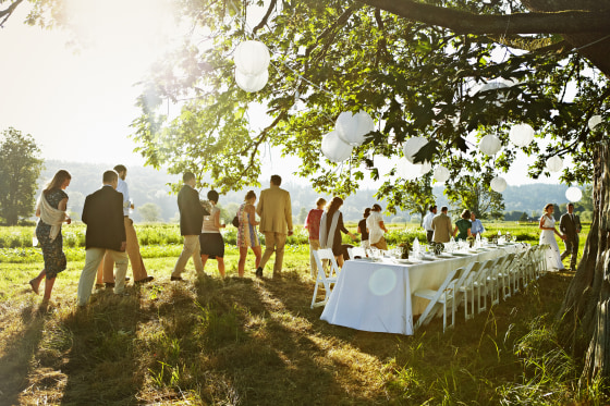 Wedding party walking to table under tree in field