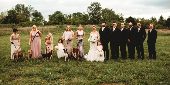 Bride includes rescue dogs in her wedding to raise awareness about adoption
