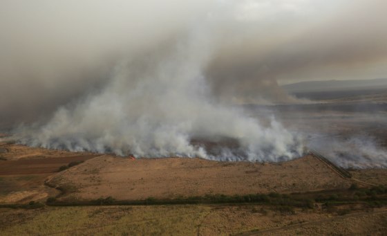 This Thursday, July 11, 2019 photo provided by the County of Maui shows a brush fire that prompted evacuation orders and diverted flights on the island of Maui in Hawaii.