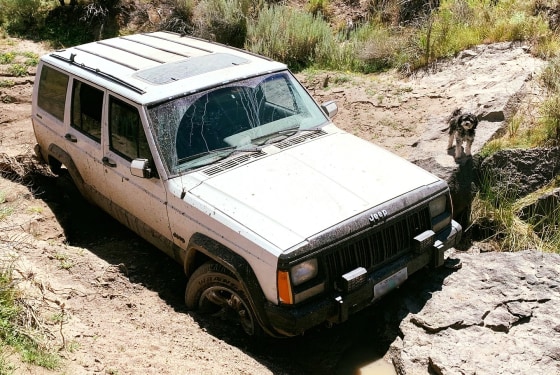The terrifying ordeal began July 14 when Greg Randolph's Jeep got stuck in a canyon. Authorities said he attempted to walk to get help but collapsed with one of his two dogs "faithfully by his side."