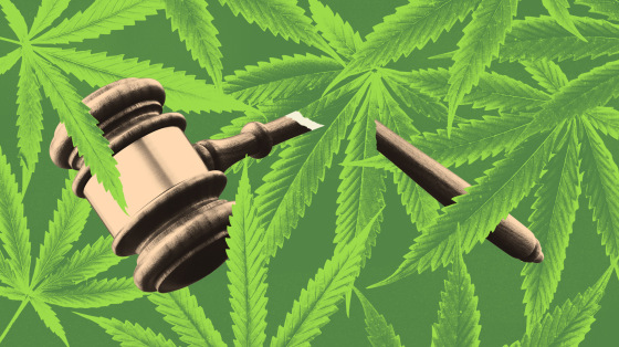 Illustration of a broken gavel on a pattern of hemp leaves.