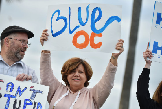 Democratic supporters