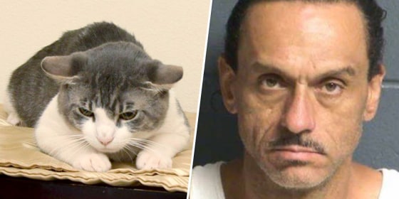 Image: Aaron Spaulding is accused of force-feeding his cat methamphetamines.