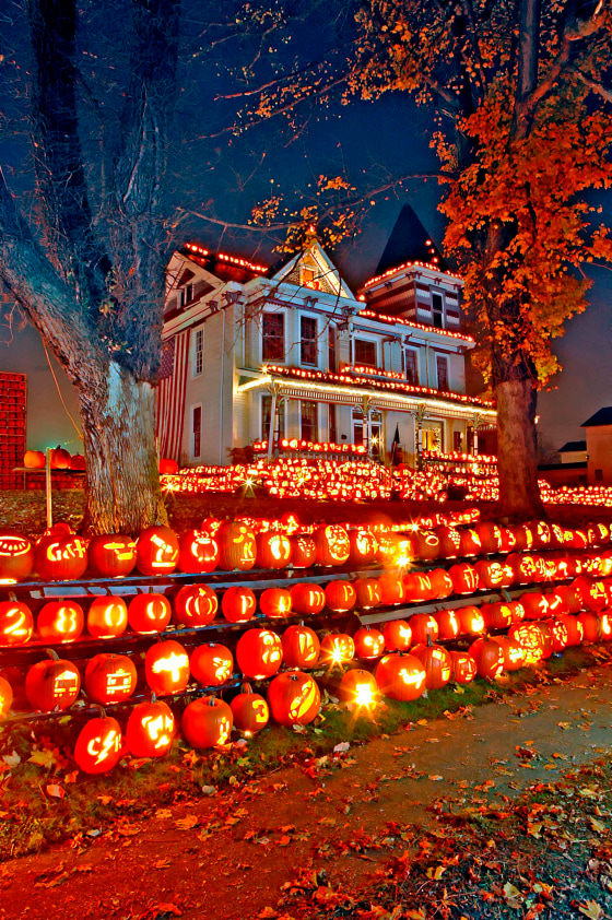 Pumpkin houses online