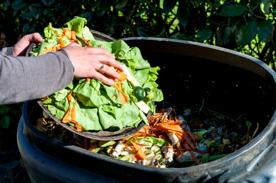 Image: composting kitchen waste