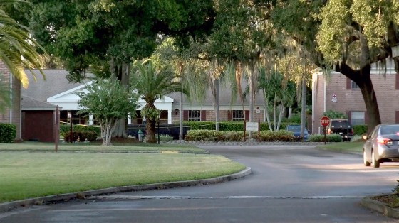 An 87 year old grandmother is accused of giving her disabled grandson a fatal dose of drugs because she feared she was going to die and no one would take care of him.