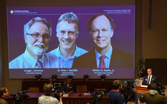 Image: Winners of the 2019 Nobel Prize in Physiology or Medicine (L-R) Gregg Semenza of the U.S., Peter Ratcliffe of Britain and William Kaelin of the U.S.