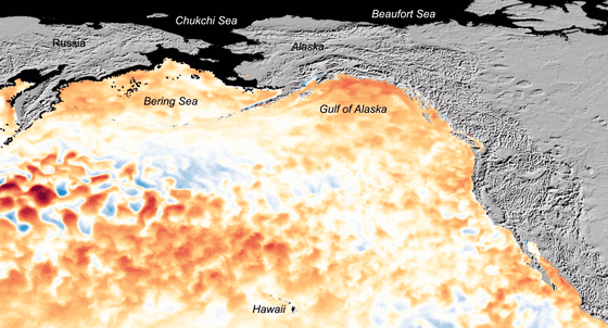 Image: The new marine heat wave off the Pacific Coast is reminiscent of the early stages of the 2014-2016 \"blob\" that devastated marine life and is believed to have affected the weather.