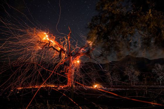 Image: A long exposure photograph shows a tree burning off Highway 128, east of Healdsburg, California