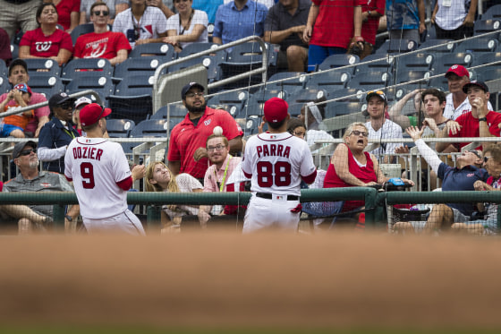 Image: Foul ball netting