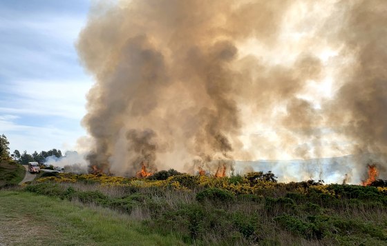Firefighters battled a small brush fire that broke out in San Bruno Mountain State and County Park amid dry conditions on Feb. 28, 2020.
