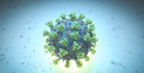 Image: Coronavirus