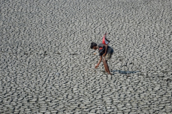 Image: A young man walks on he parched bed of a temple tank during a hot day in Chenna