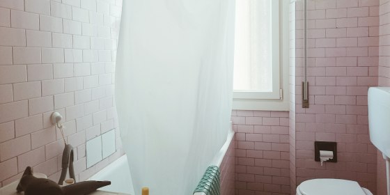 Interior Of Bathroom With White And Pink Walls
