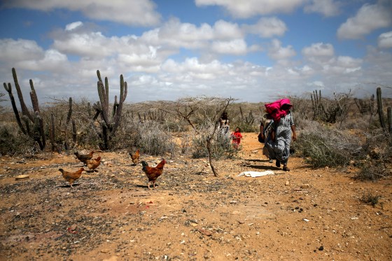 Image: FILE PHOTO: Colombian women from the indigenous Wayuu tribe walk through a desert, in Castilletes