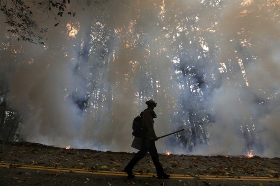 Image: California Department of Forestry and Fire Protection firefighter