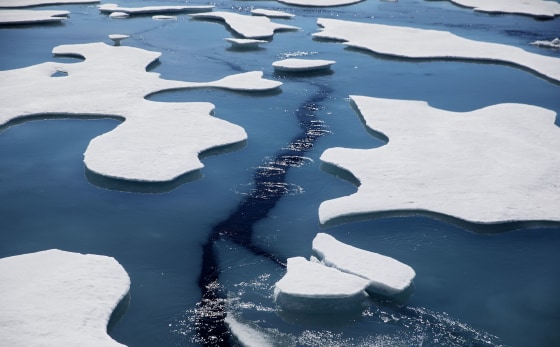 Image: Sea Ice