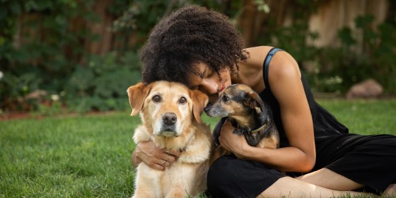 Americans are starting to give up pets during COVID-19 crisis