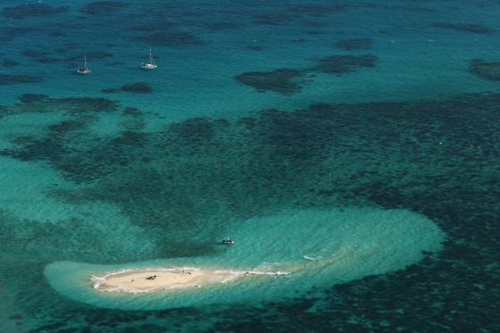 Image: Vlassof Cay in the Great Barrier Reef in Cairns, Australia.