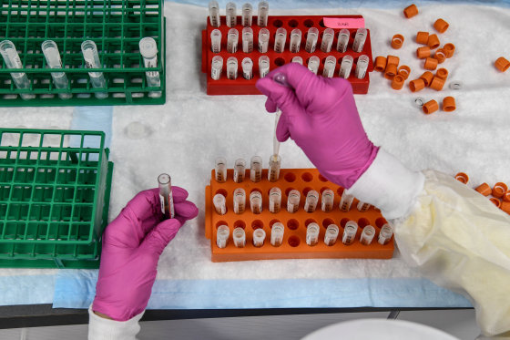 A lab technician sorts blood samples for a Covid-19 vaccination study at the Research Centers of America in Hollywood, Fla., on Aug. 13.