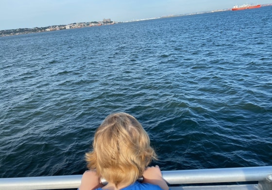 My wife and I both miss our families terribly and our preschool-age son misses his grandparents, but there are too many people close to us -- or close to people who are close to us -- whose lives we would risk by traveling and being in close contact for hours on end.