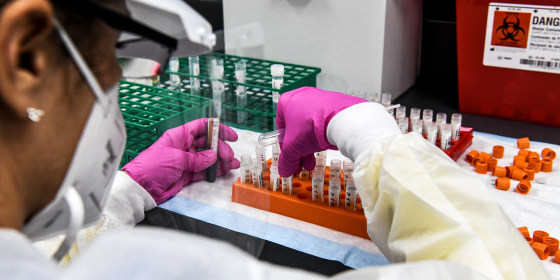 Image: Florida lab tech