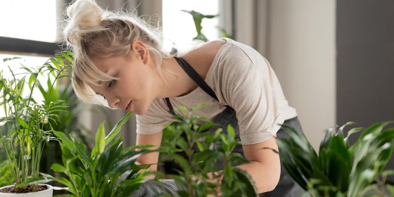 Indoor gardening tips