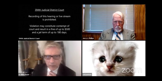 Lawyer uses Zoom cat filter in virtual court: #39 I m not a cat