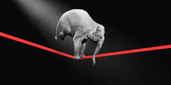 Photo illustration of an elephant in the spotlight walking a across a tight rope.