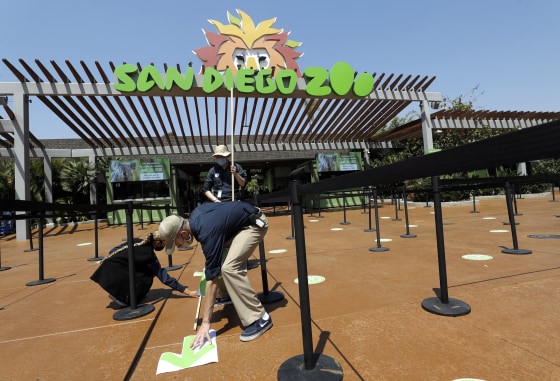 Image: San Diego Zoo