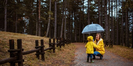 Mother and child, wearing yellow rain jackets and holding a clear umbrella, outside in a forest patThese are the 6 best umbrellas of 2021 to keep you dry all spring. Shop the best classic umbrellas, windproof umbrellas, reverse opening umbrellas and more.