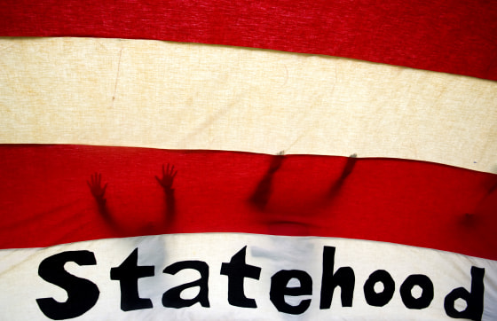 Image: Members of the DC Statehood Green Party try to fly a flag near the Capitol on April 16, 2007.